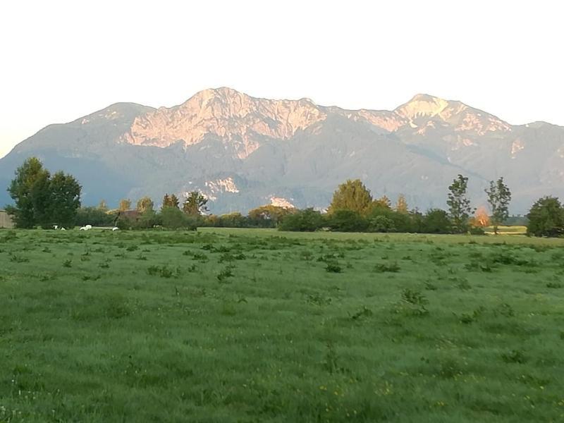 Apartment Moosblick Zwischen Bergen Und See Benediktbeuern Εξωτερικό φωτογραφία