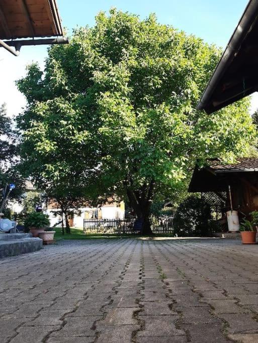 Apartment Moosblick Zwischen Bergen Und See Benediktbeuern Εξωτερικό φωτογραφία